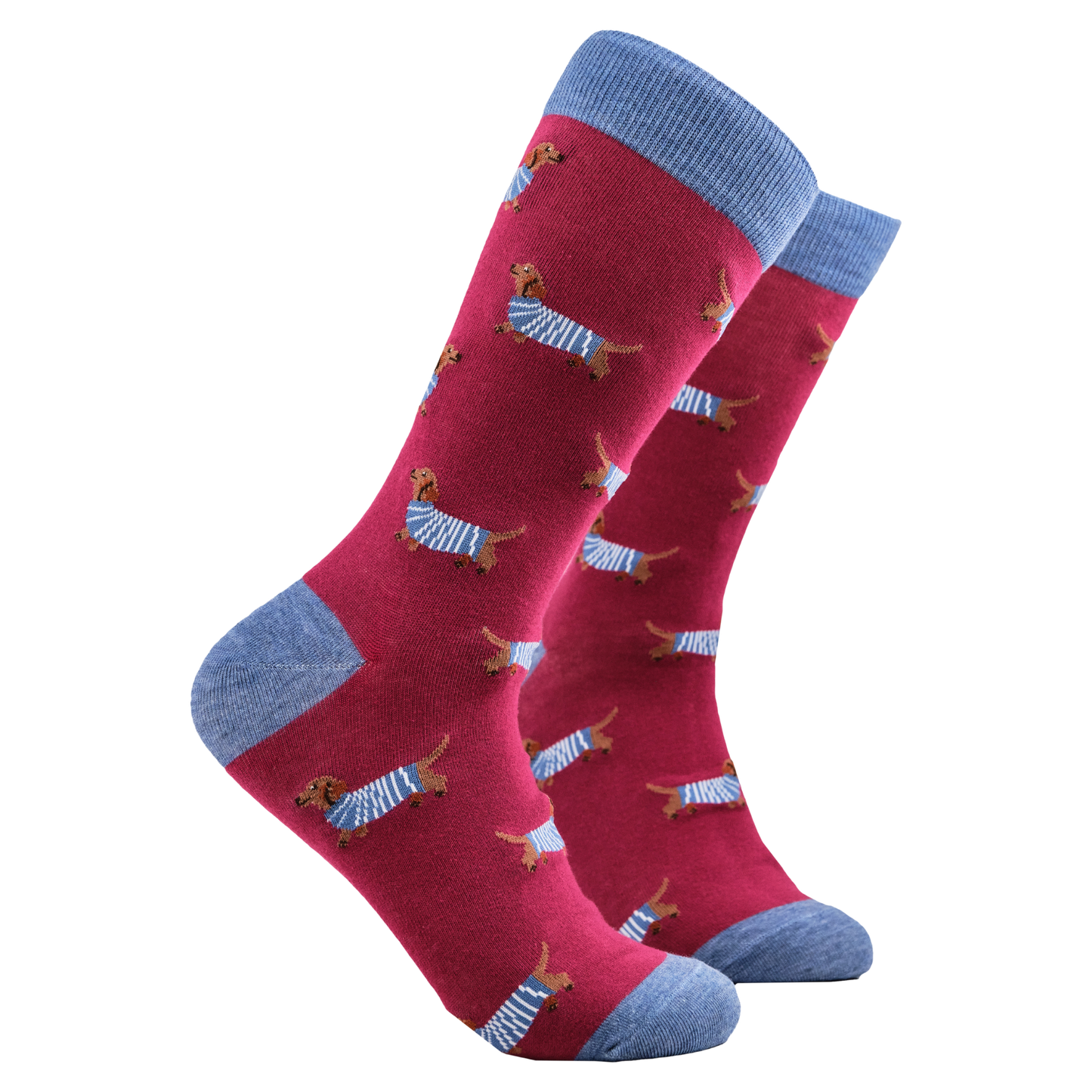 A pair of socks depicting sausage dogs wearing jumpers. Red legs, light blue cuff, heel and toe