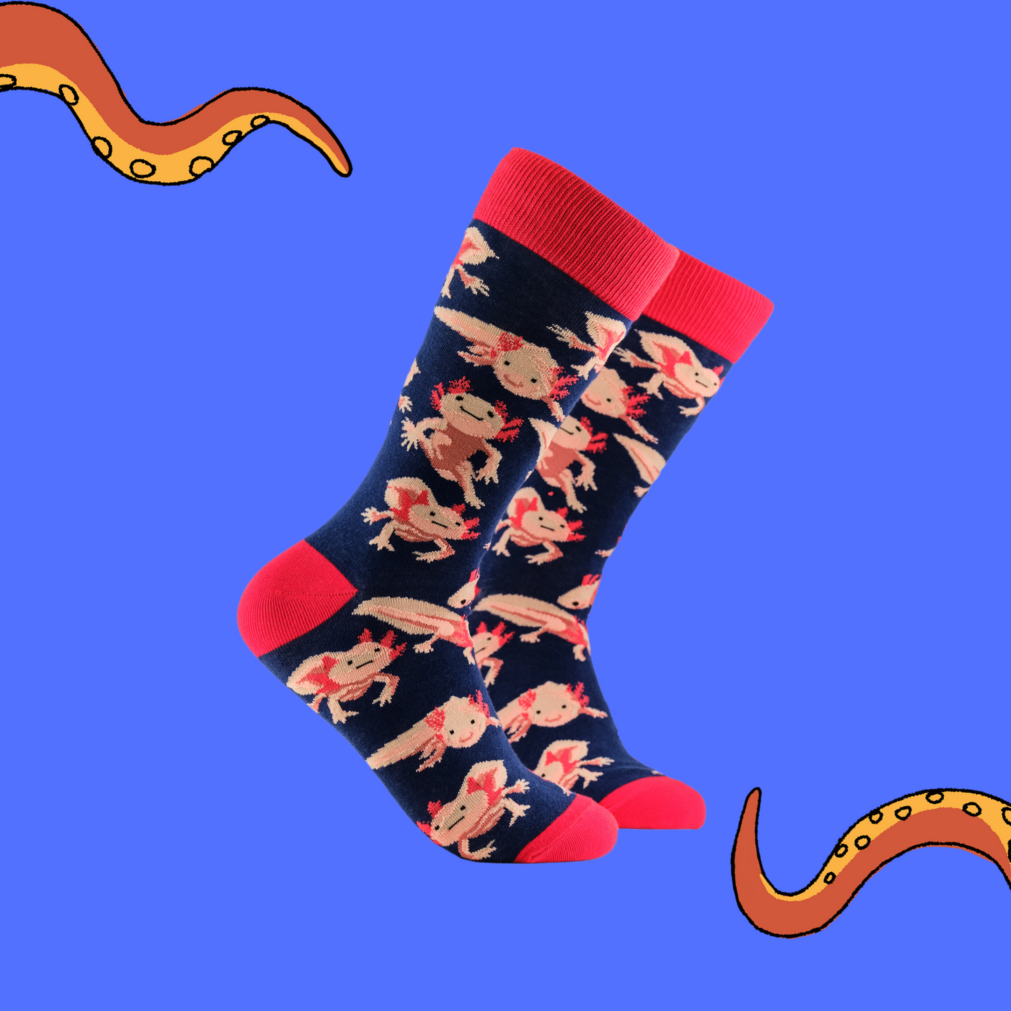 Axolotl Socks - Lottia Axolotl. A pair of socks depicting Axolotls. Dark blue legs, red cuff, heel and toe.