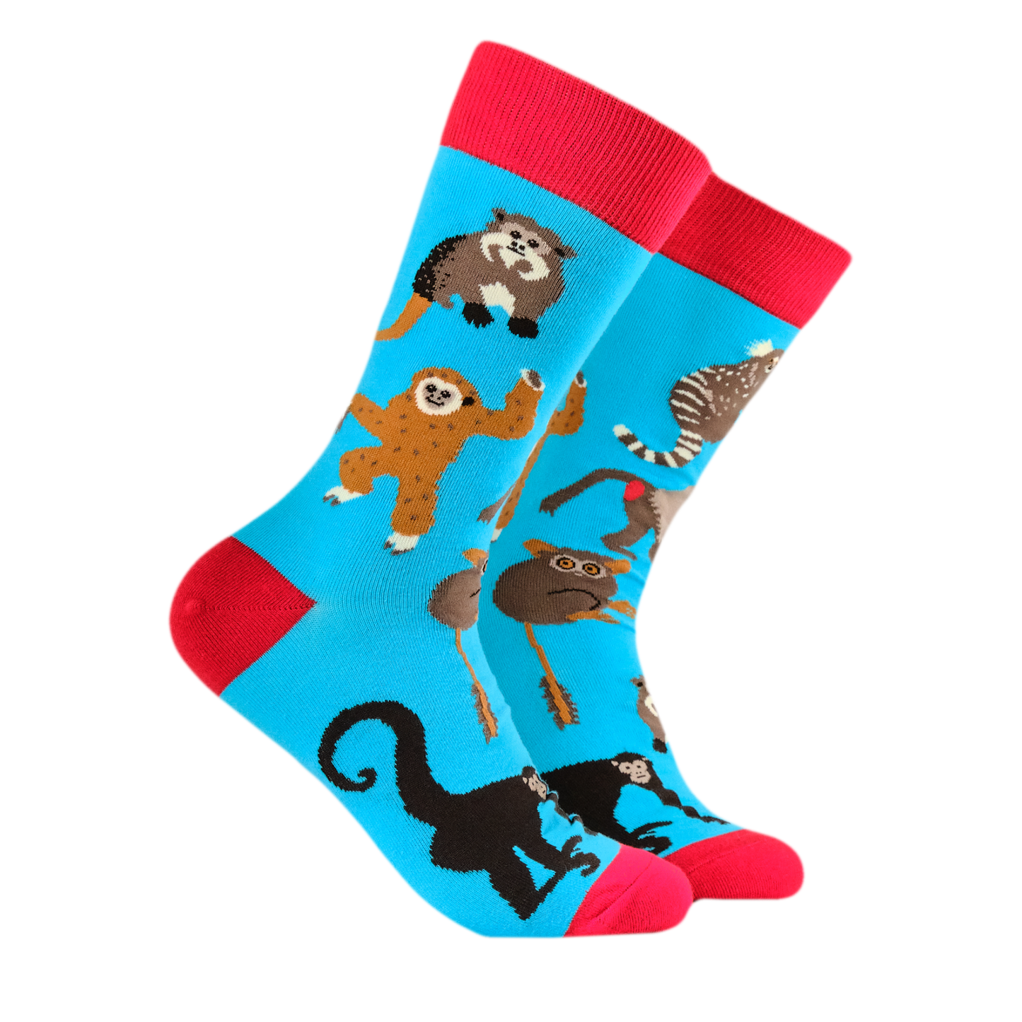 Monkeying Around Socks. A pair of socks featuring a monkey motif. Bright blue legs and red heel, toe and cuff.
