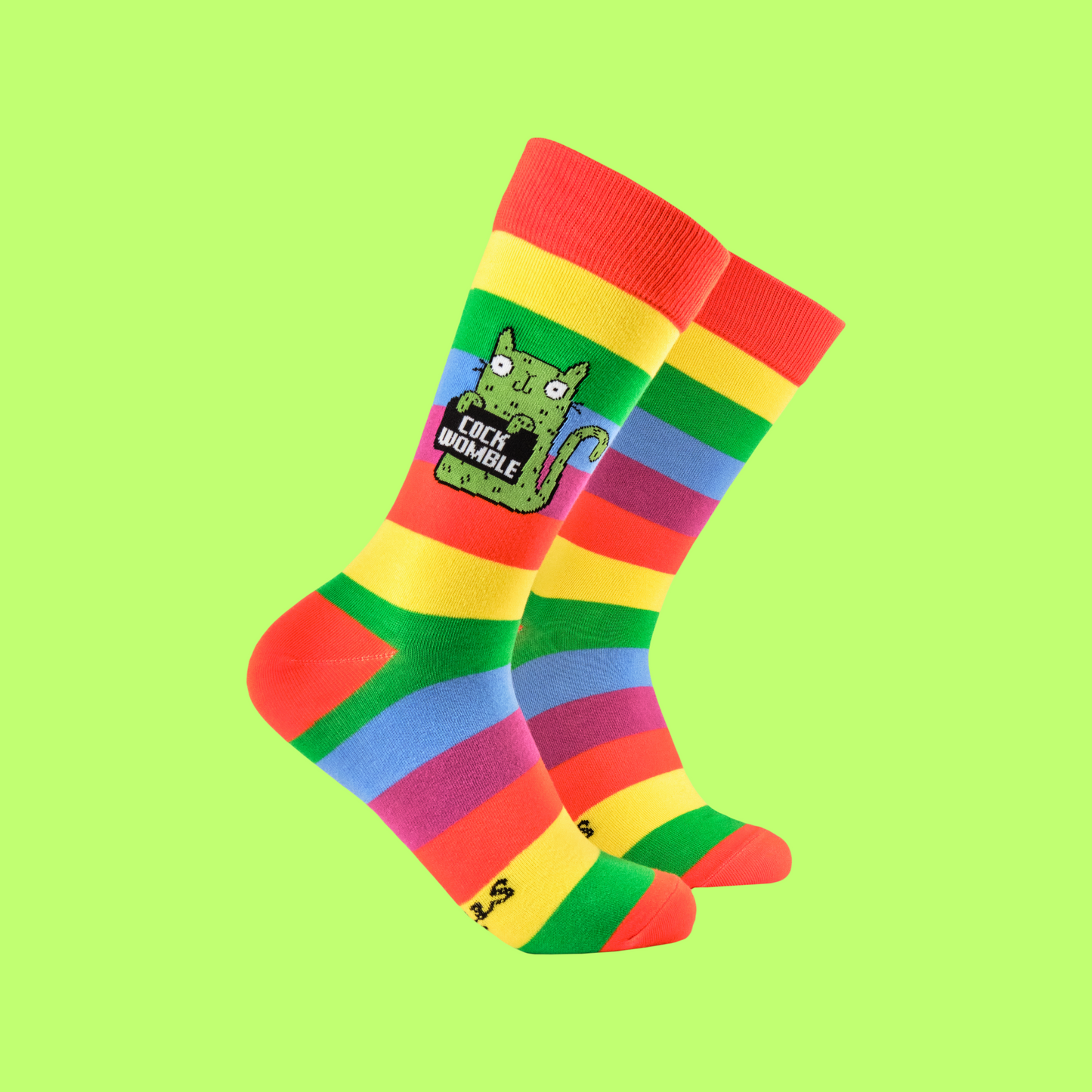 A pair of socks featuring a cute cat holding a sweary sign. Rainbow striped legs.