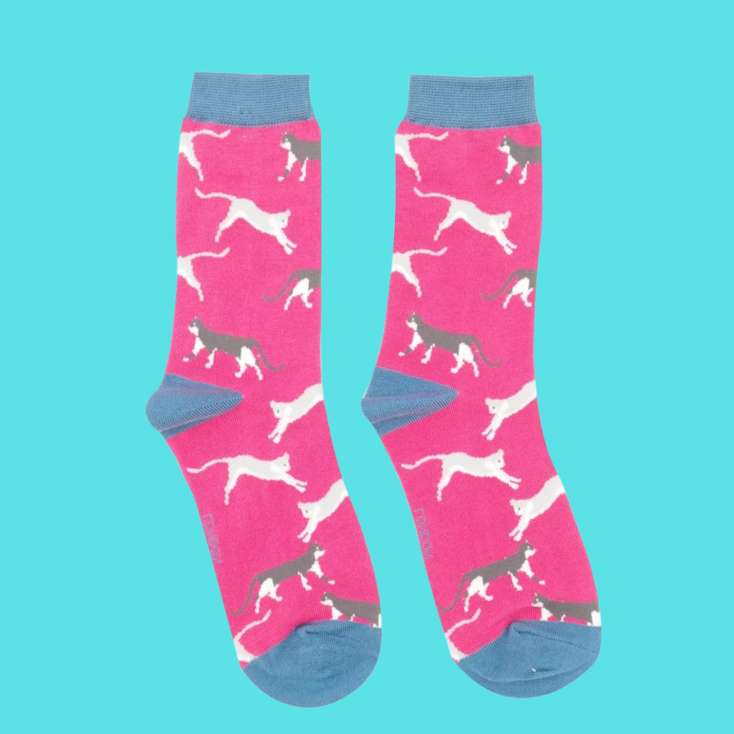 A pair of socks featuring wandering cats. Hot pink legs, blue heel, toe and cuff.