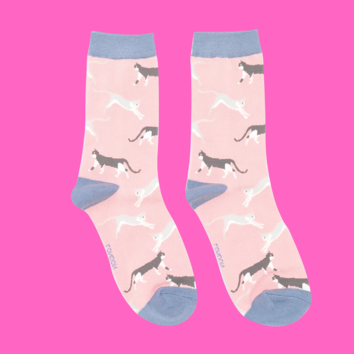 A pair of socks featuring wandering cats. Light pink legs, blue heel, toe and cuff.