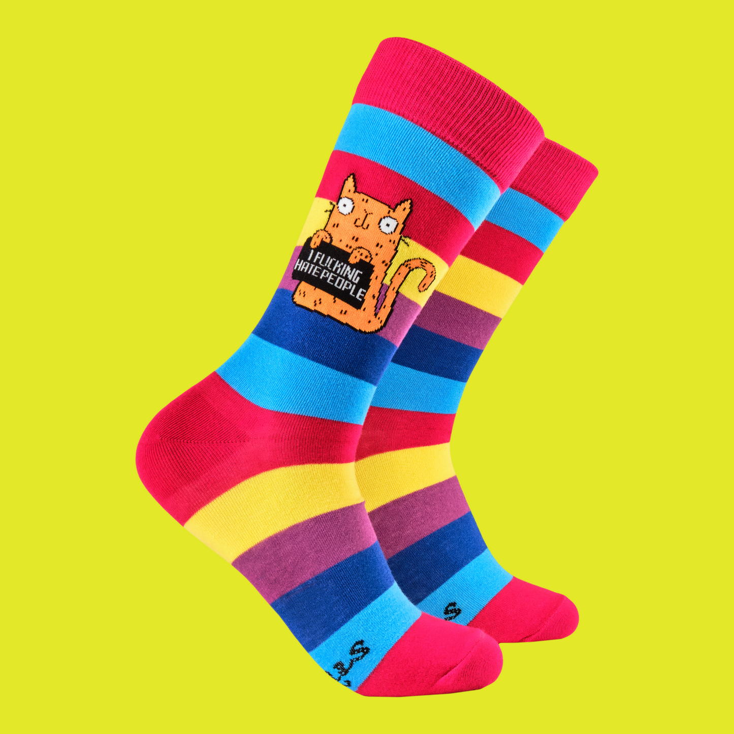 A pair of socks featuring a cute cat holding a sweary sign. Rainbow striped legs.