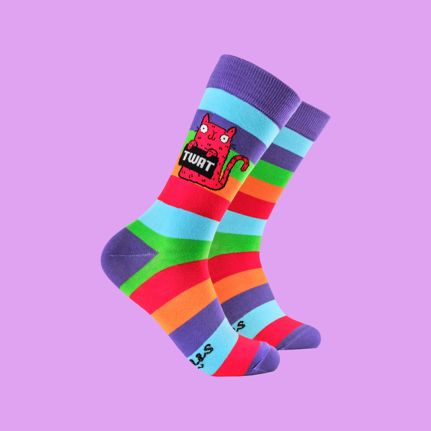 A pair of socks featuring a cute cat holding a sweary sign. Rainbow legs.