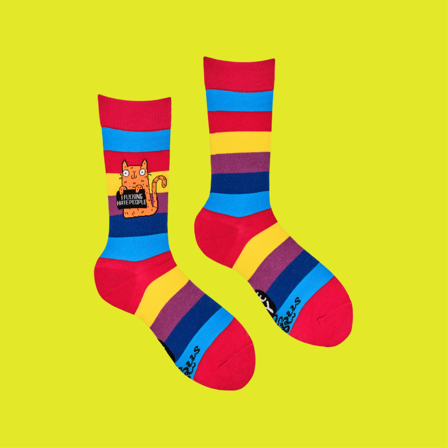 A pair of socks featuring a cute cat holding a sweary sign. Rainbow striped legs.