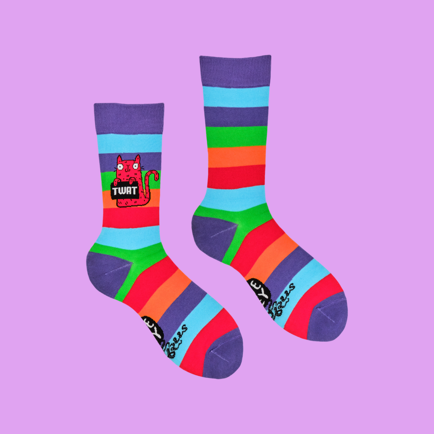 A pair of socks featuring a cute cat holding a sweary sign. Rainbow legs.