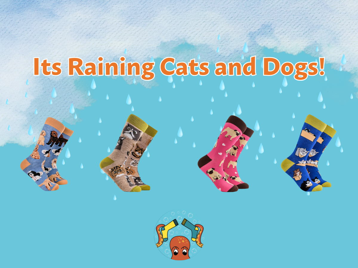 Raining Cats and Dogs: The Socktopus Guide to Cat Socks and Dog Socks