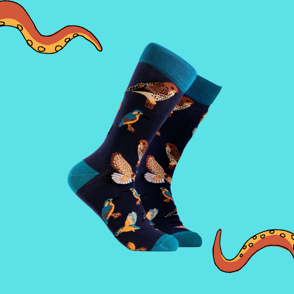 
                      
                        A pair of socks depicting British native birds. Purple legs, turquoise cuff, heel and toe.
                      
                    