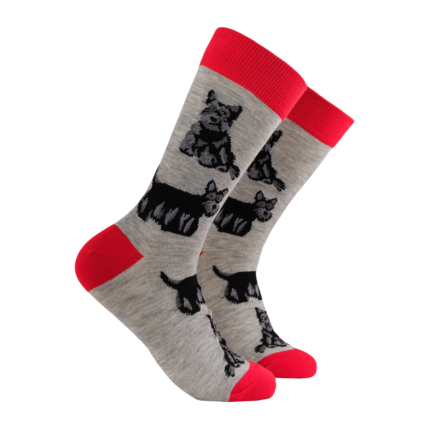 Scottie Socks - Beam Me Up Scottie. A pair of socks featuring a scottie dog motif. Grey legs, red heel toe and cuff. 