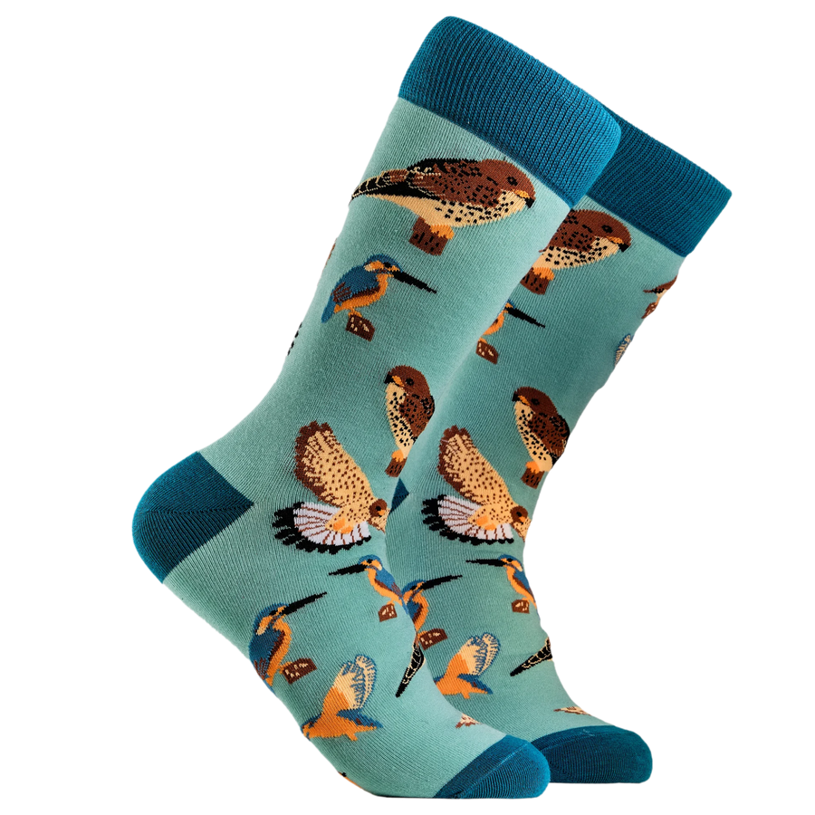 Bird Lover Socks. A pair of socks depicting British native birds. Teal legs, turquoise cuff, heel and toe.