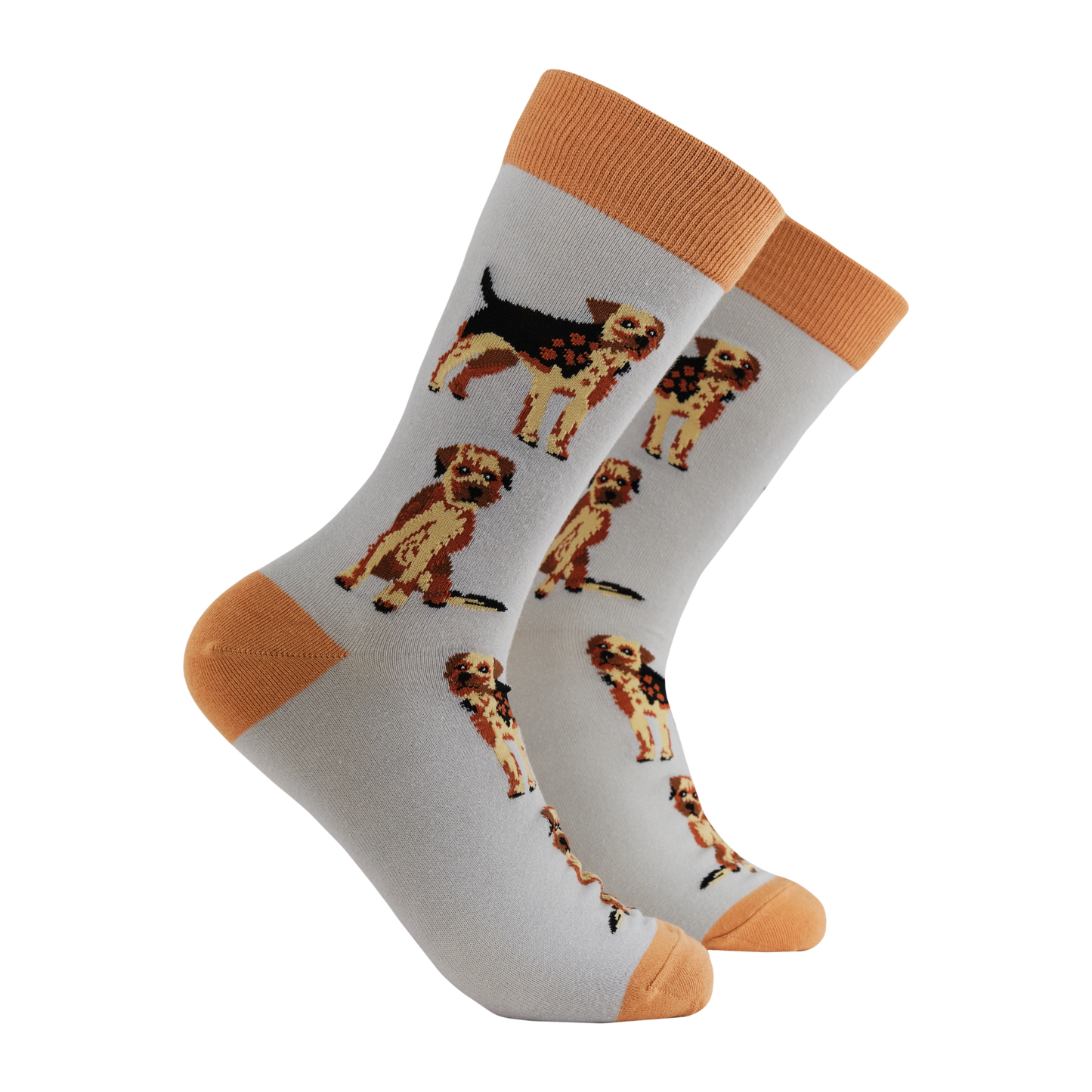 Border Terrier Socks - Borderline Obsessed. A pair of socks featuring Border Terriers. Grey legs, brown heel, toe and cuff. 
