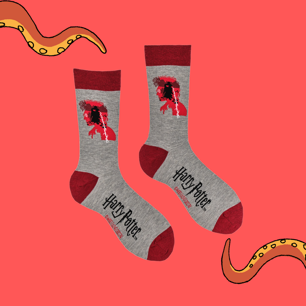 
                      
                        A pair of socks depicting Lord Voldemort. Grey legs, red cuff, heel and toe.
                      
                    