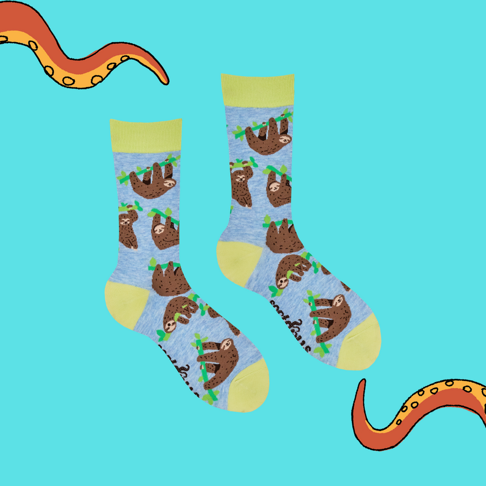 
                      
                        Sloth Socks - Lazy Vibes
                      
                    