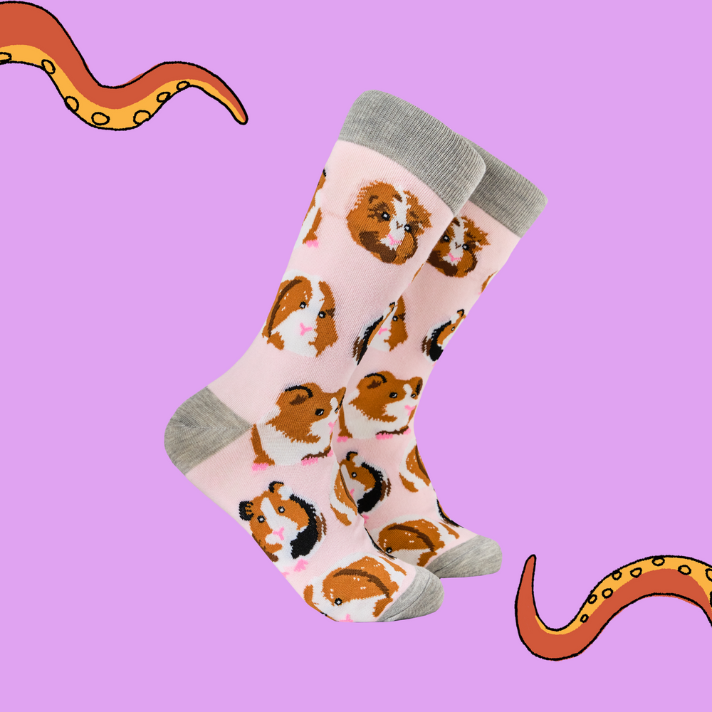 Guinea Pig Socks - I Am Not A Hamster