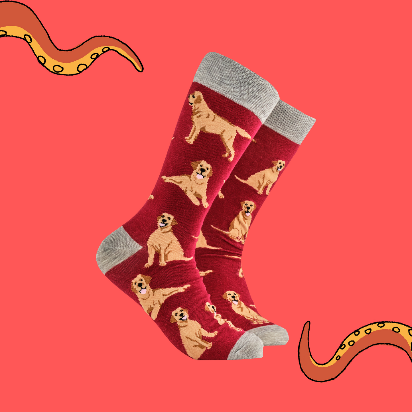 Labrador Retriever Socks - Labradorable