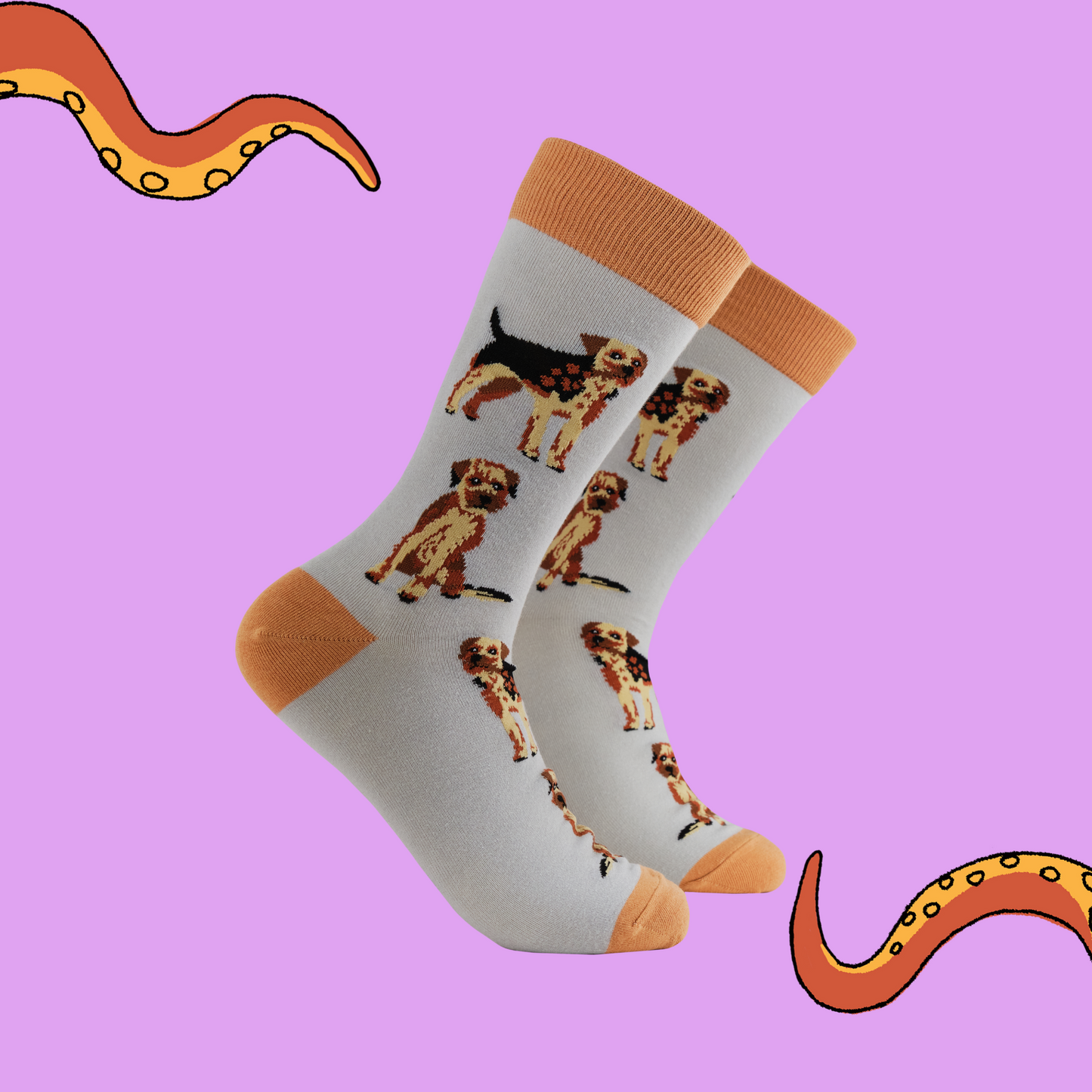 A pair of socks featuring Border Terriers. Grey legs, brown heel, toe and cuff. 