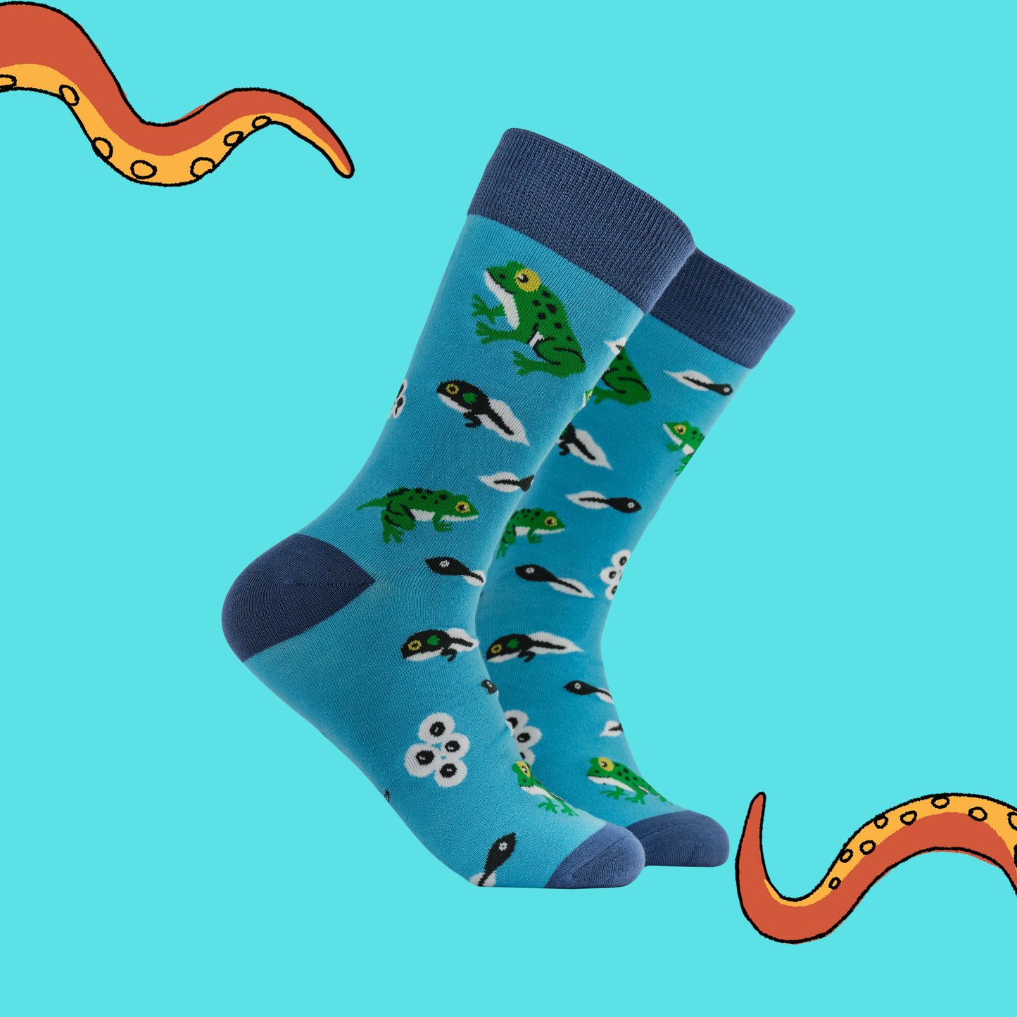 Frog Lifecycle Bamboo Socks - Frogtopus