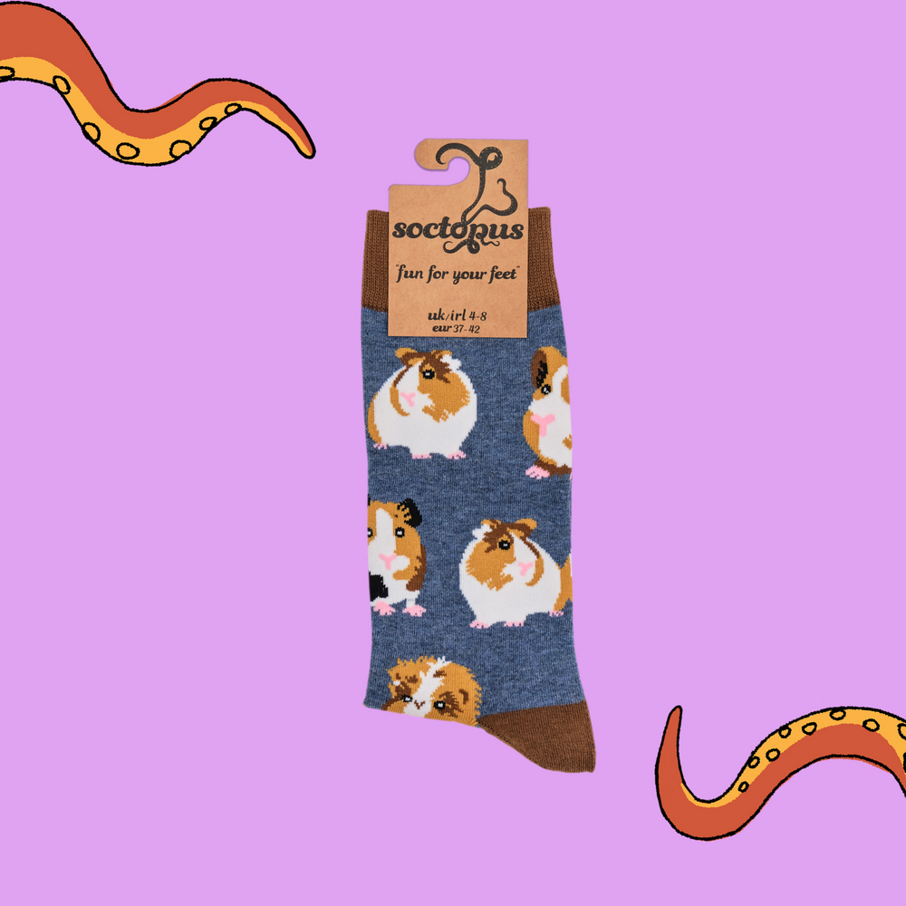 
                      
                        Guinea Pig Socks - I Am Not A Hamster
                      
                    