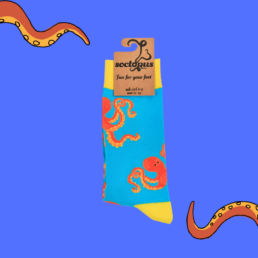 
                      
                        A pair of socks depicting the Socktopus mascot, Captain Socktopus. Blue legs, yellow cuff, heel and toe. In Socktopus Packaging.
                      
                    