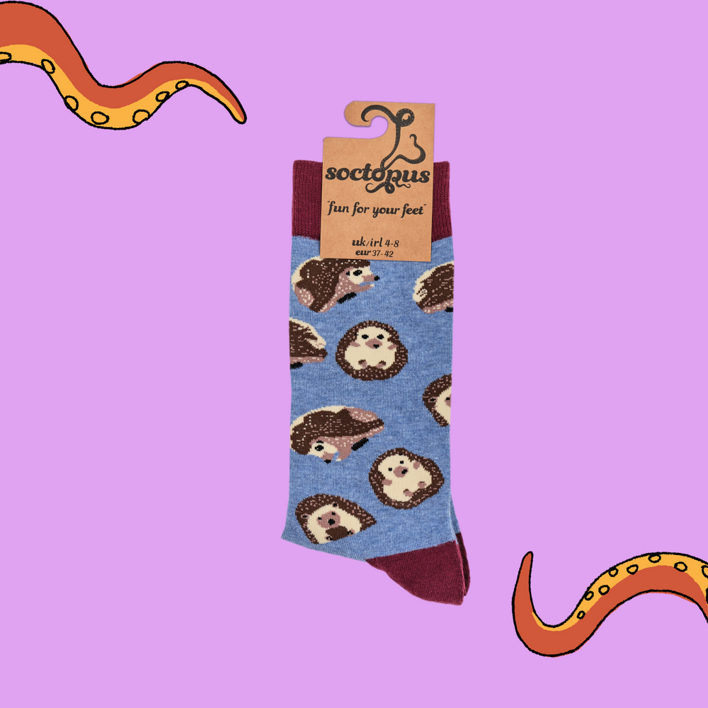 
                      
                        A pair of socks depicting hedgehogs. Blue legs, red cuff, heel and toe. In Soctopus Packaging.
                      
                    