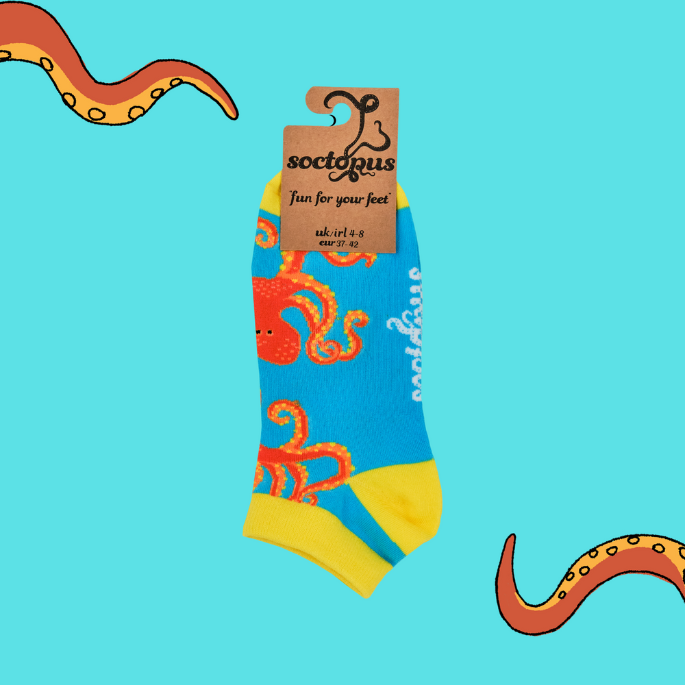 
                      
                        A pair of trainer socks with the soctopus mascot. Blue legs, yellow heel, toe and cuff. 
                      
                    