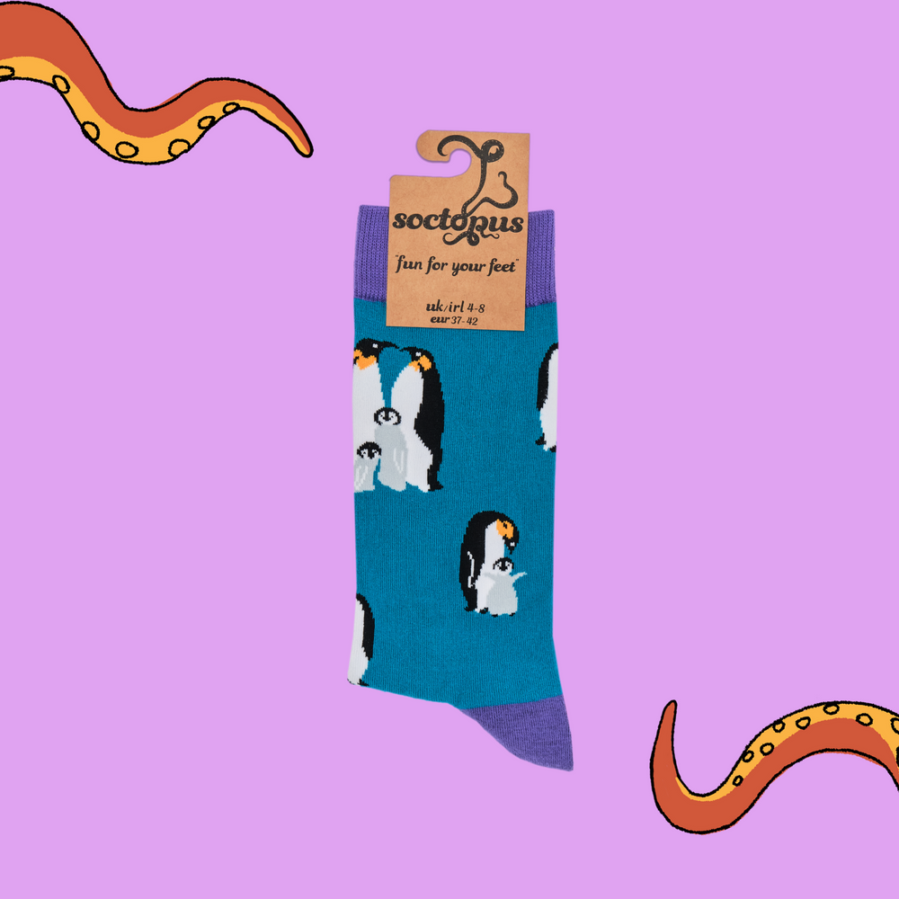 
                      
                        A pair of socks depicting a penguin family. Blue legs, purple cuff, heel and toe. In Socktopus Packaging.
                      
                    