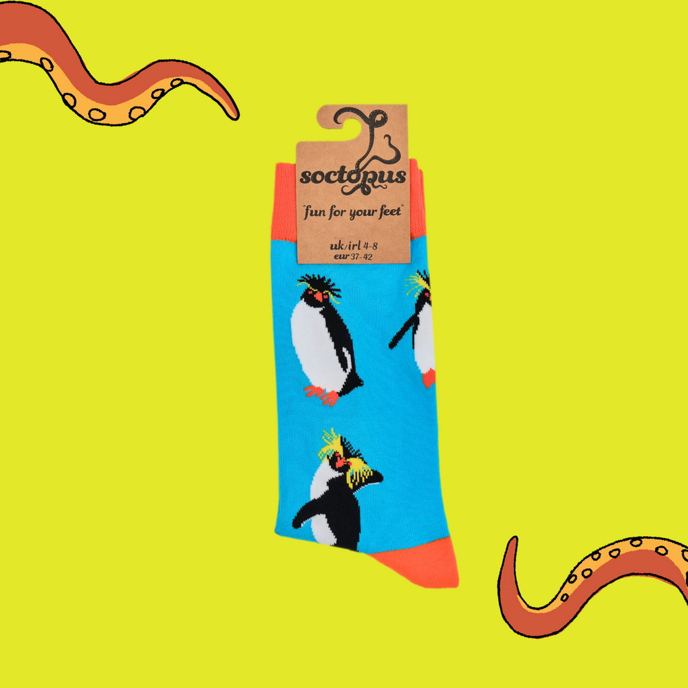
                      
                        A pair of socks depicting rock hopper penguins. Bright legs, orange cuff, heel and toe. In Socktopus Packaging.
                      
                    