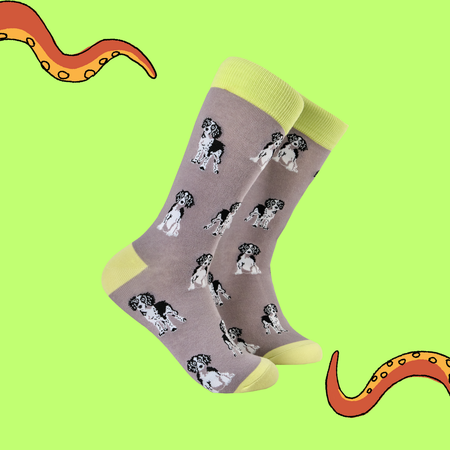 Spaniel Socks