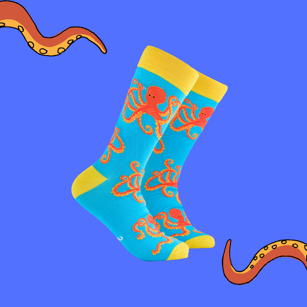 
                      
                        A pair of socks depicting the Socktopus mascot, Captain Socktopus. Blue legs, yellow cuff, heel and toe.
                      
                    
