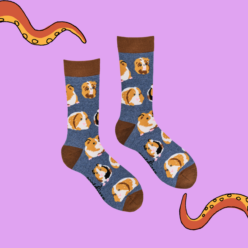 
                      
                        Guinea Pig Socks - I Am Not A Hamster
                      
                    