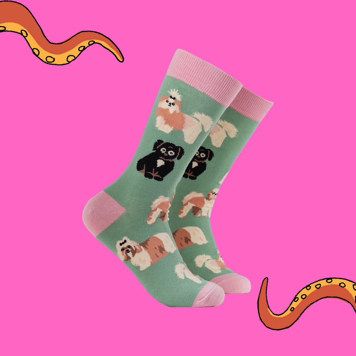 A pair of socks featuring a Shih Tzu  motif. Green legs, pink heel, toe and cuff. 