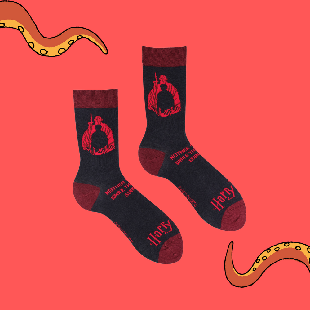 
                      
                        A pair of socks depicting scenes from Harry Potter. Grey legs, red cuff, heel and toe.
                      
                    