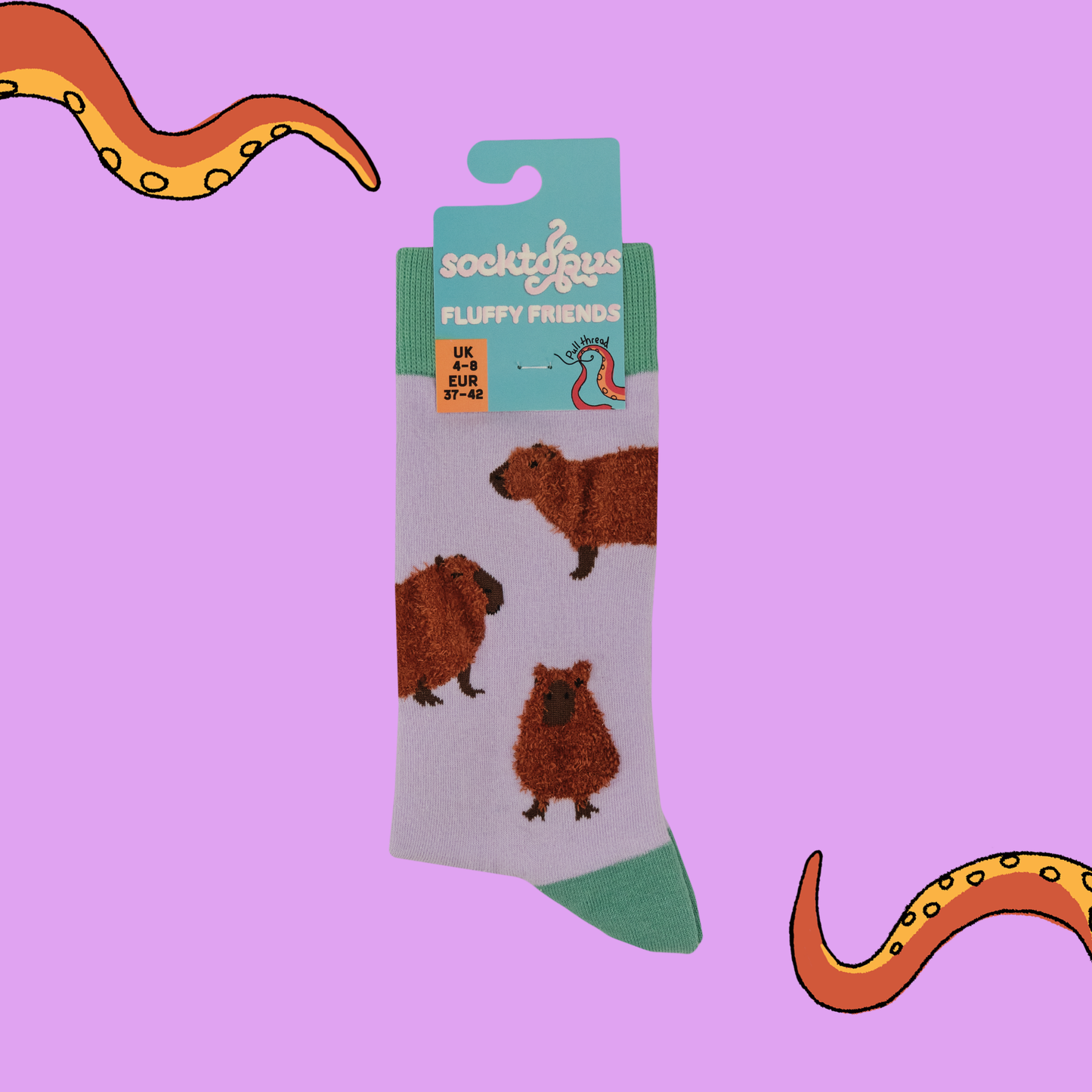 Capybara Fluffies Socks - Socktopus - Free Shipping over £10