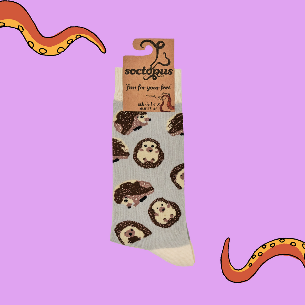 
                      
                        Hedgehog Socks - Prickly
                      
                    