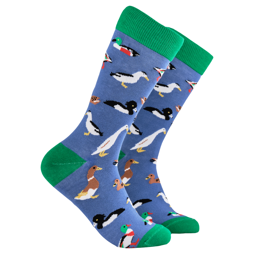 Duck Lover Socks. A pair of socks depicting various breeds of duck. Blue legs, green cuff, heel and toe.