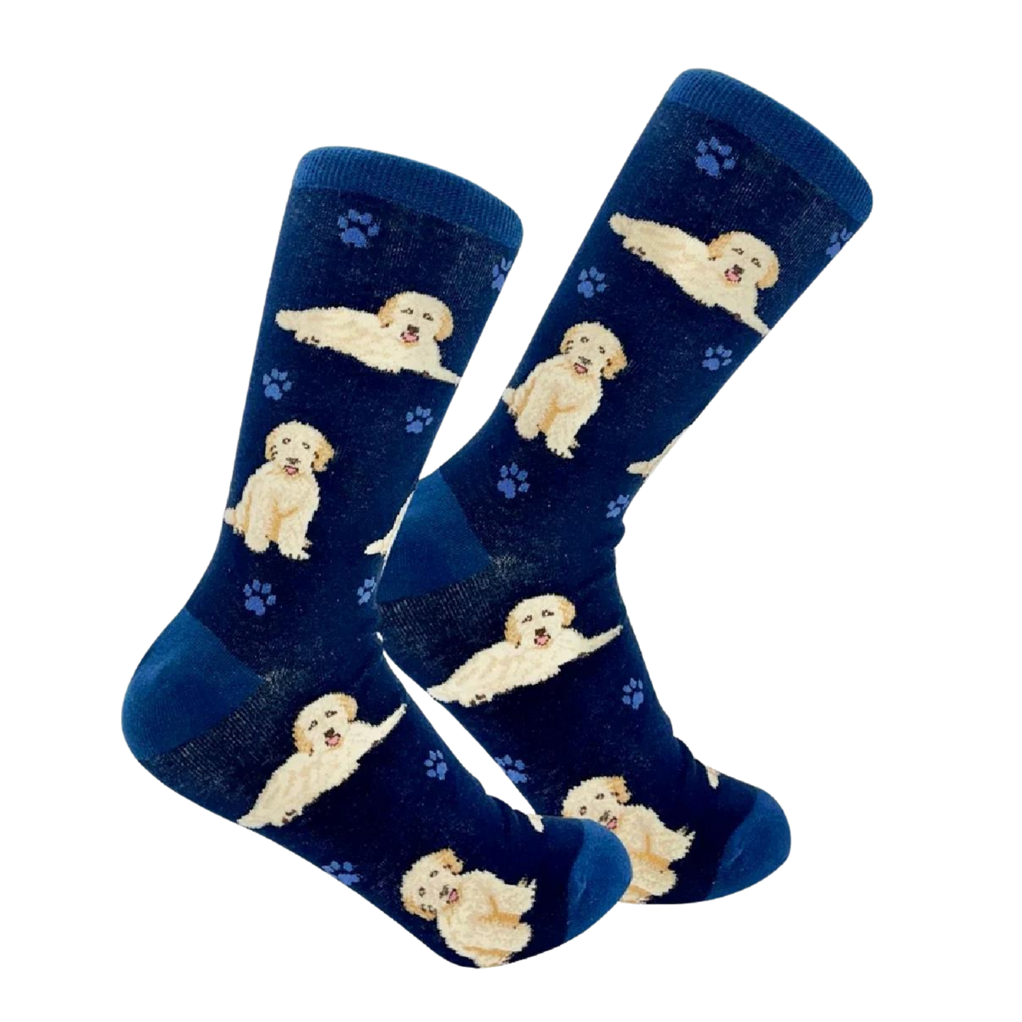 Goldendoodle Socks. A pair of socks with a goldenpoodle motif. Dark blue legs, Light blue heel, toe and cuff. 