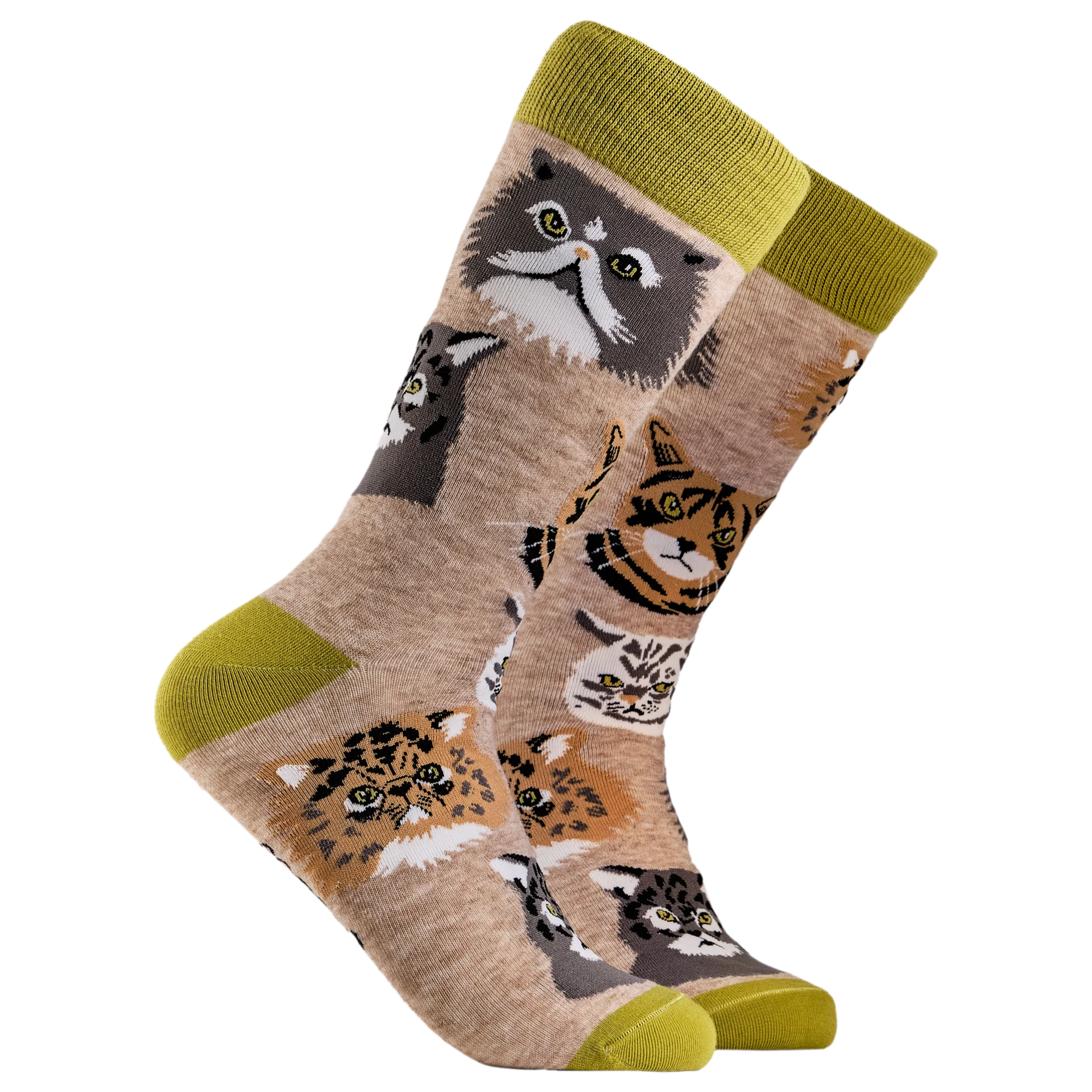 Oatmeal Pop Cat Grumpy Cats Socks Socktopus