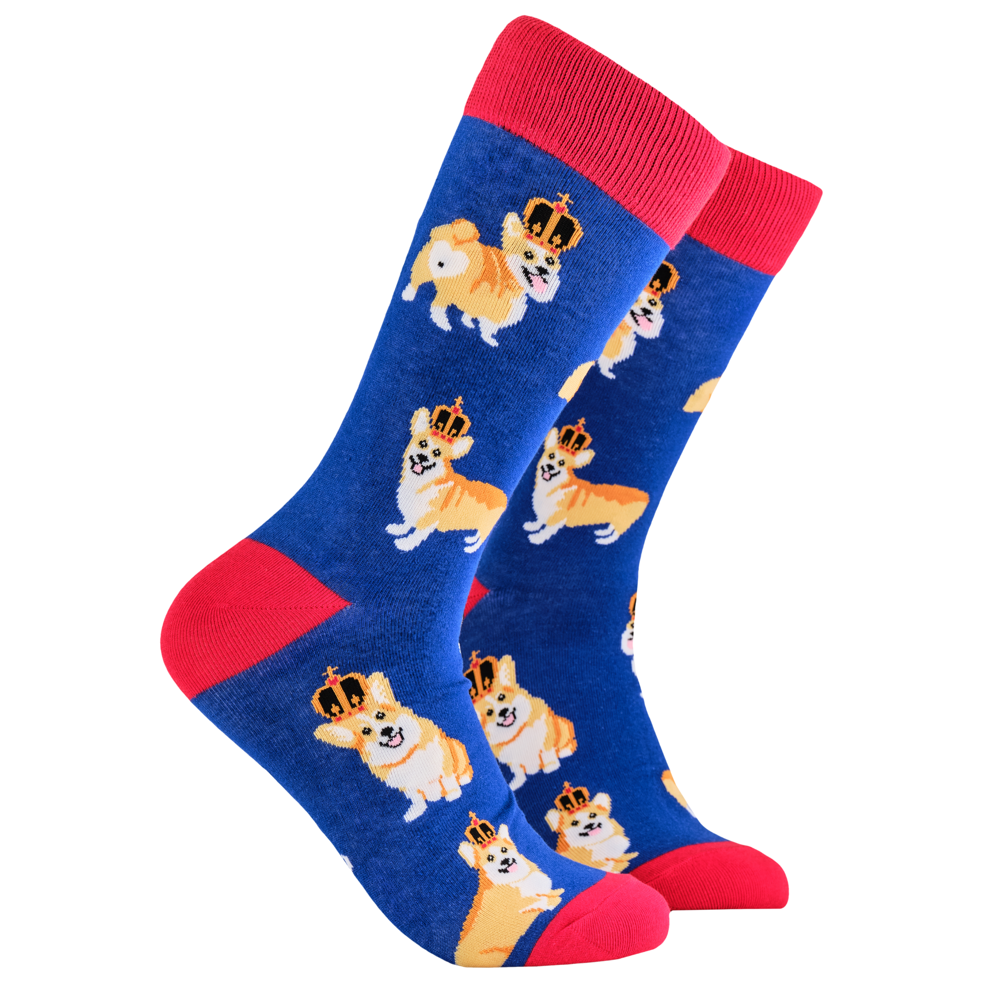 MajesticCorgi-S2032S-BLUE-M.