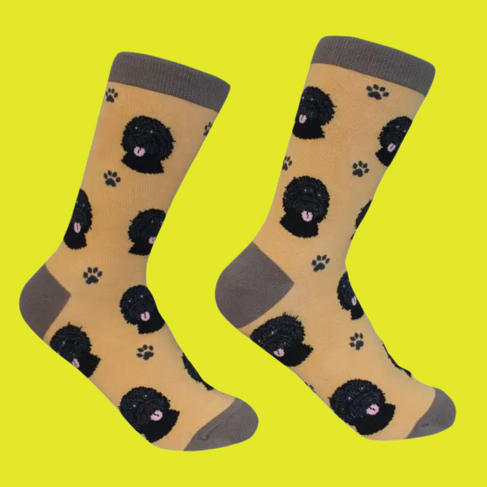 
                      
                        Black Labradoodle Dog Socks
                      
                    