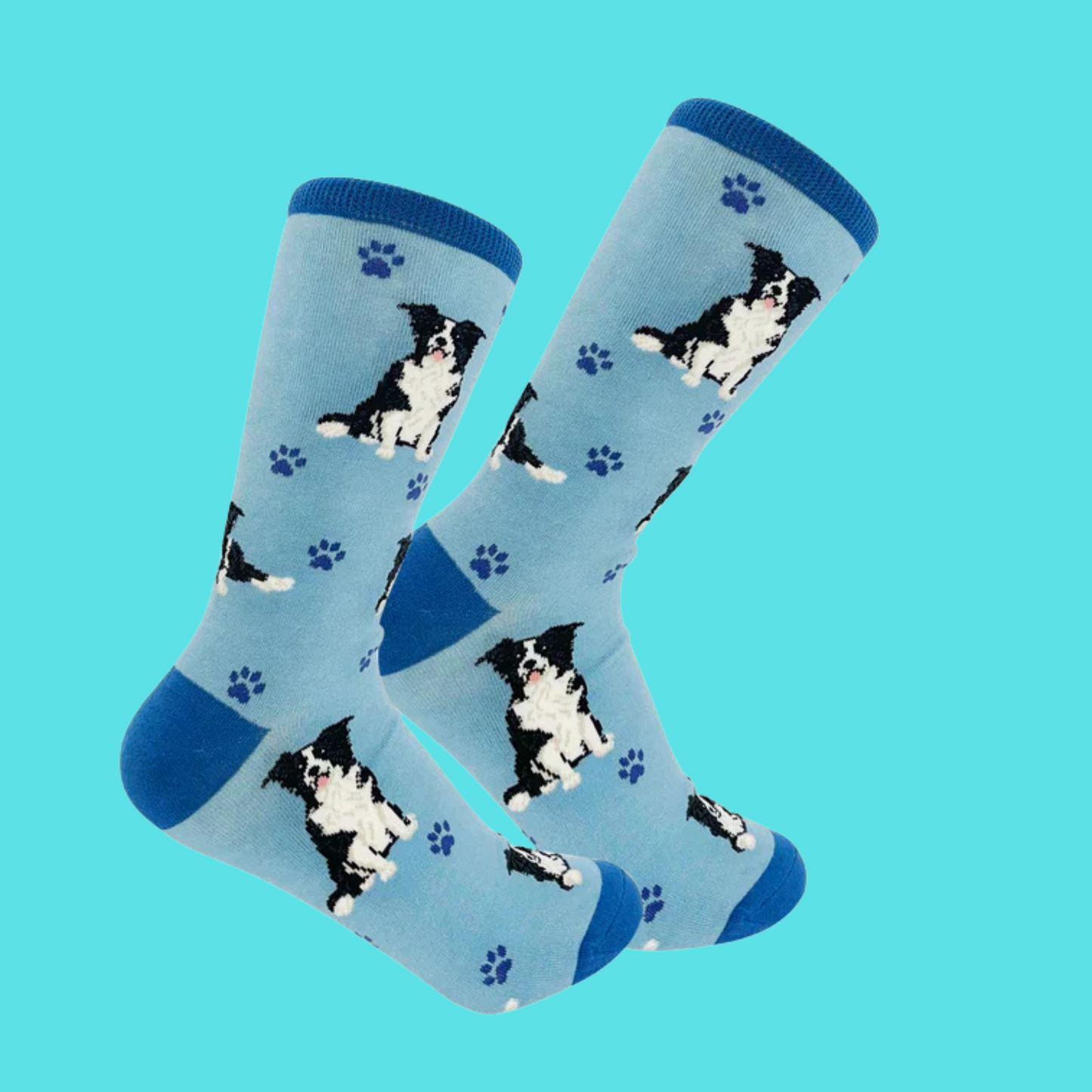 Border Collie Dog Full Body Socks