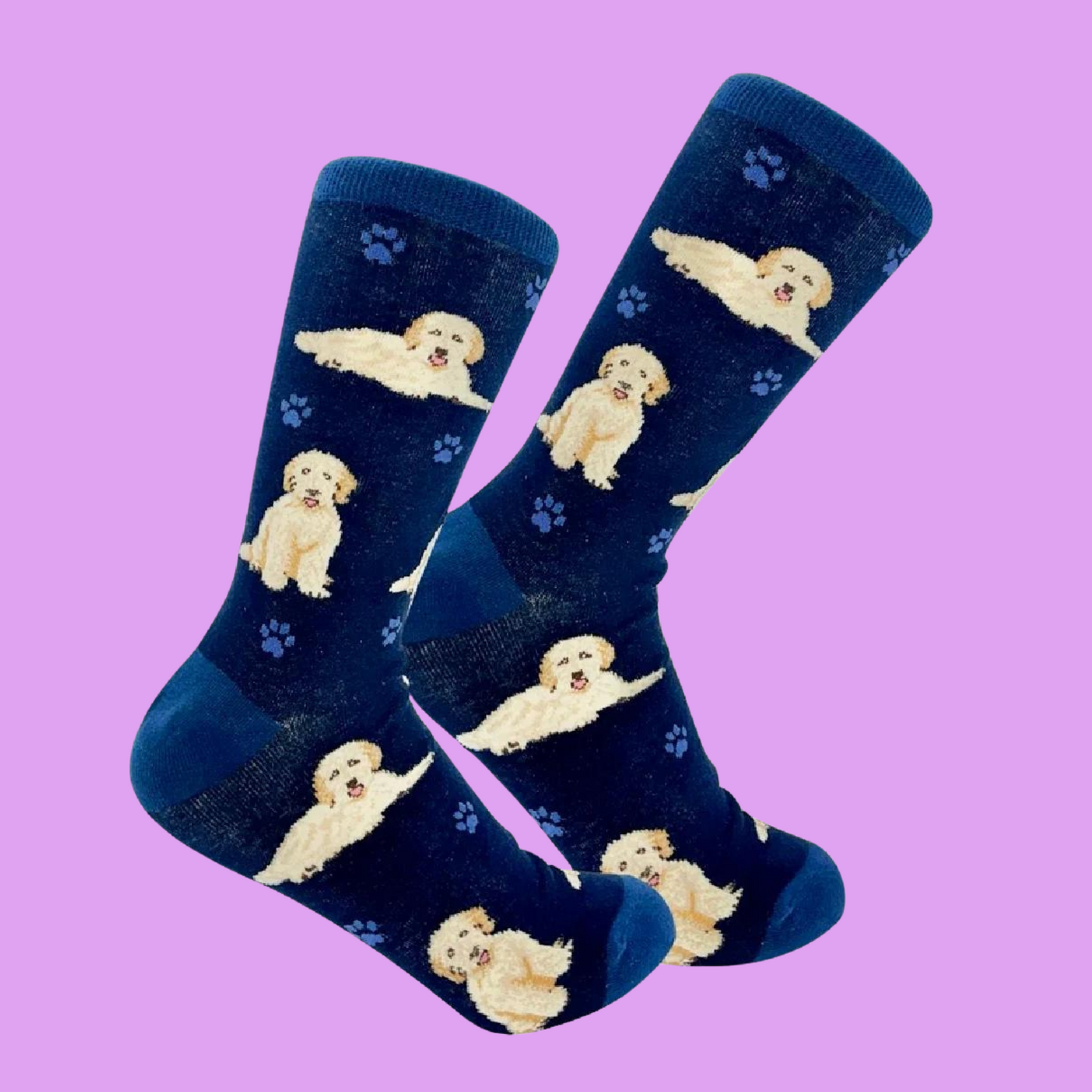 Goldendoodle Socks. A pair of socks with a goldenpoodle motif. Dark blue legs, Light blue heel, toe and cuff. 