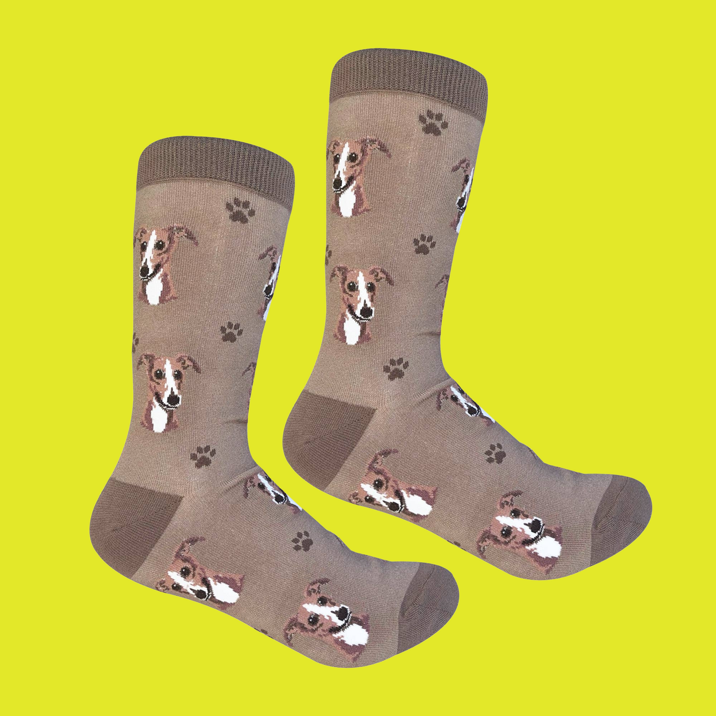 Greyhound Dog Socks