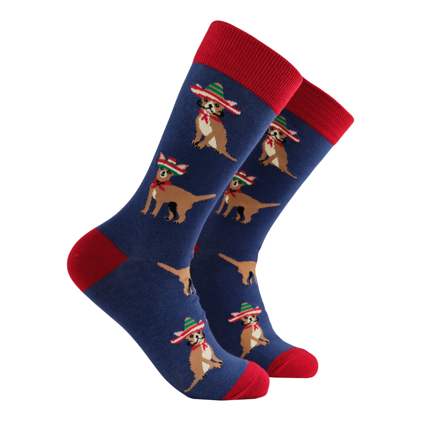 Chihuahua Socks - Pico de Chihuahuo. A pair of socks featuring cute chihuahuas. Dark blue legs, red heel, toe and cuff. 