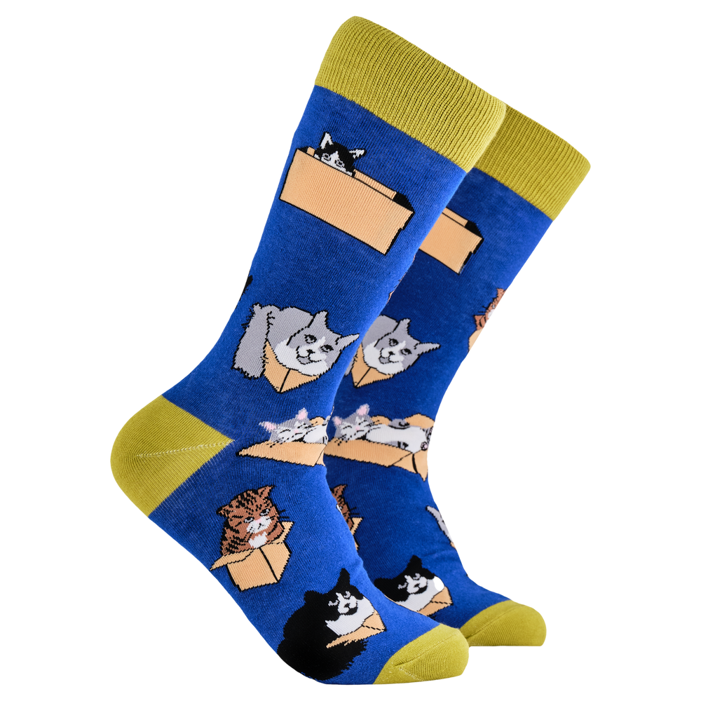 Cat Socks - Purrrfect Fit. A pair of socks depicting cats in boxes. Blue legs, yellow cuff, heel and toe.