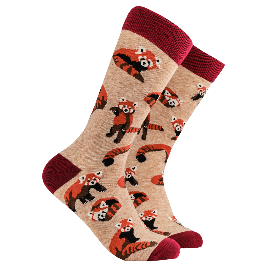 Red Panda Socks. A pair of socks depicting cute little red pandas. Brown legs, red heel, toe and cuff. 