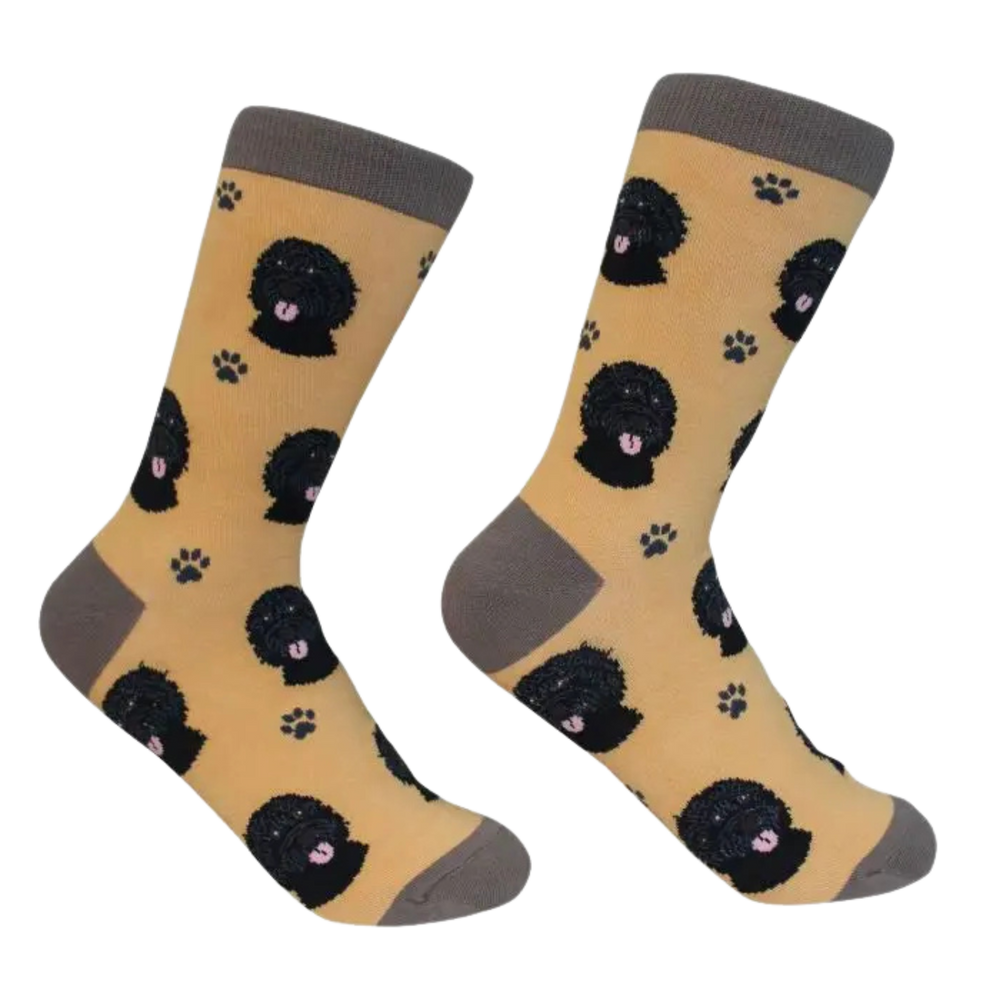 Black Labradoodle Dog Socks