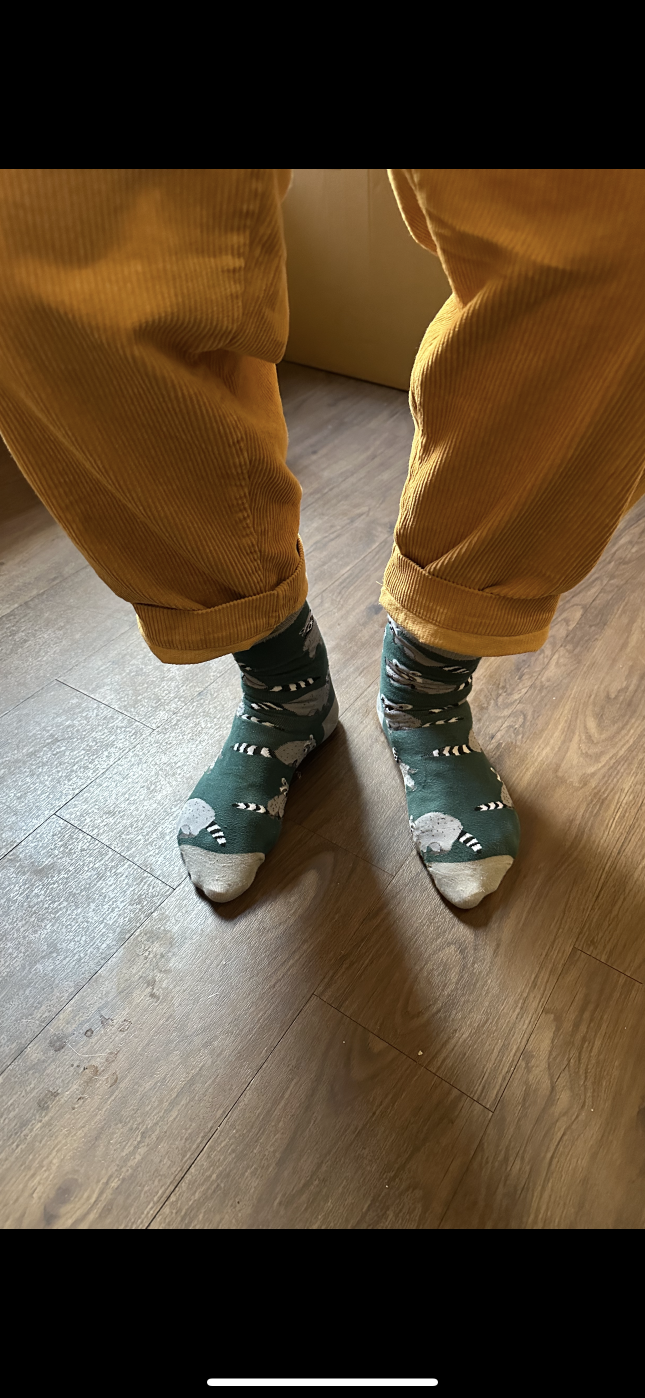Nick wearing his favourite Soctopus Socks. 